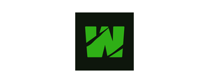 Wild Casino logo